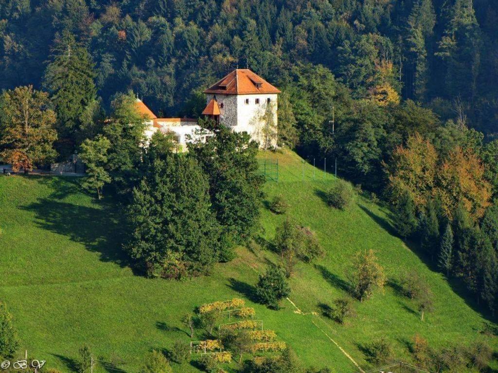 Penzion Park Laško Exterior foto
